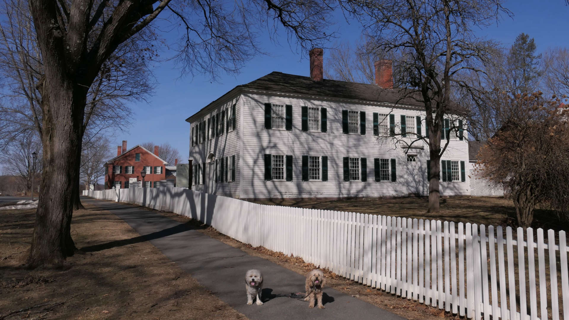 Deerfield20