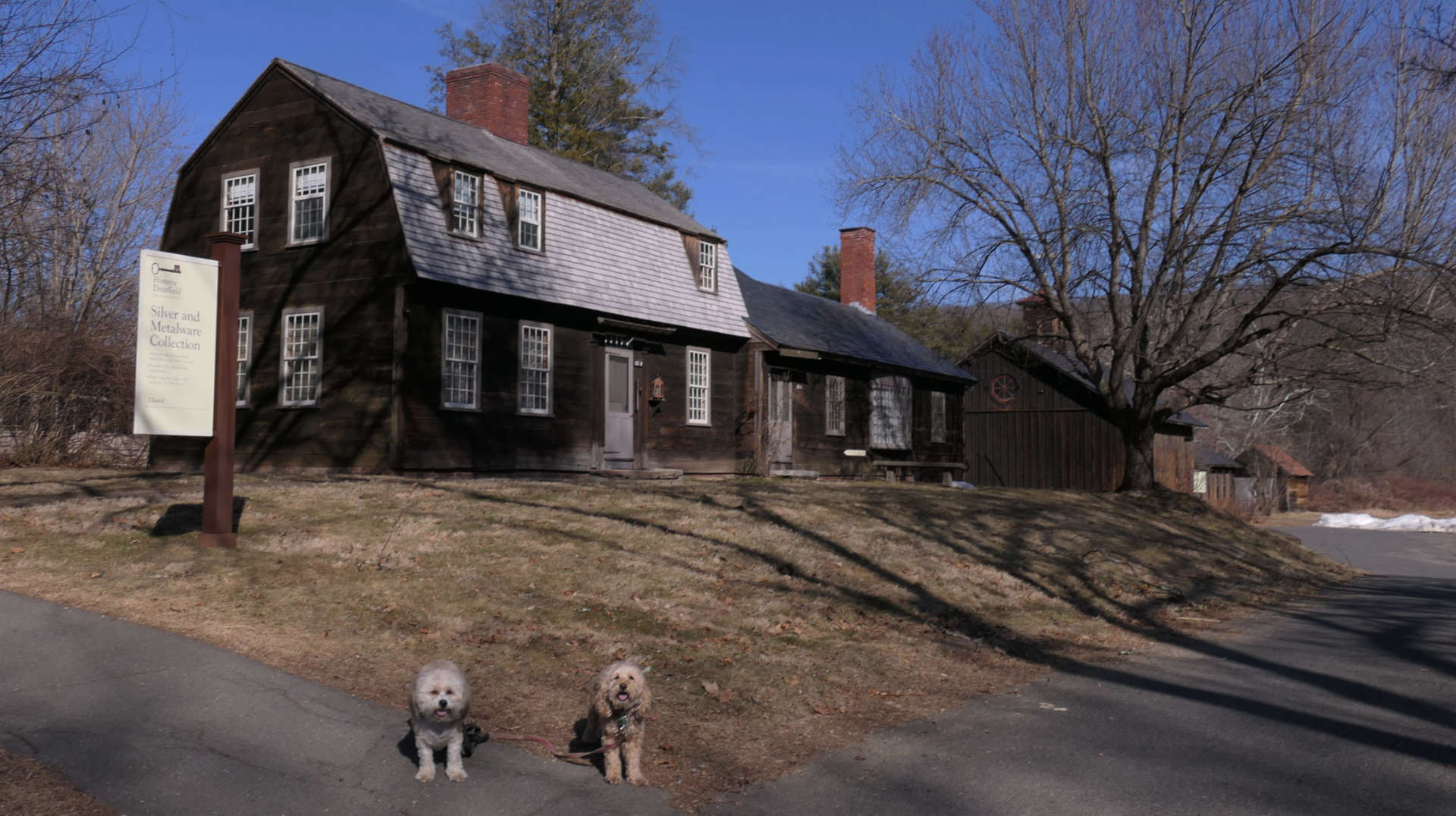 Deerfield21