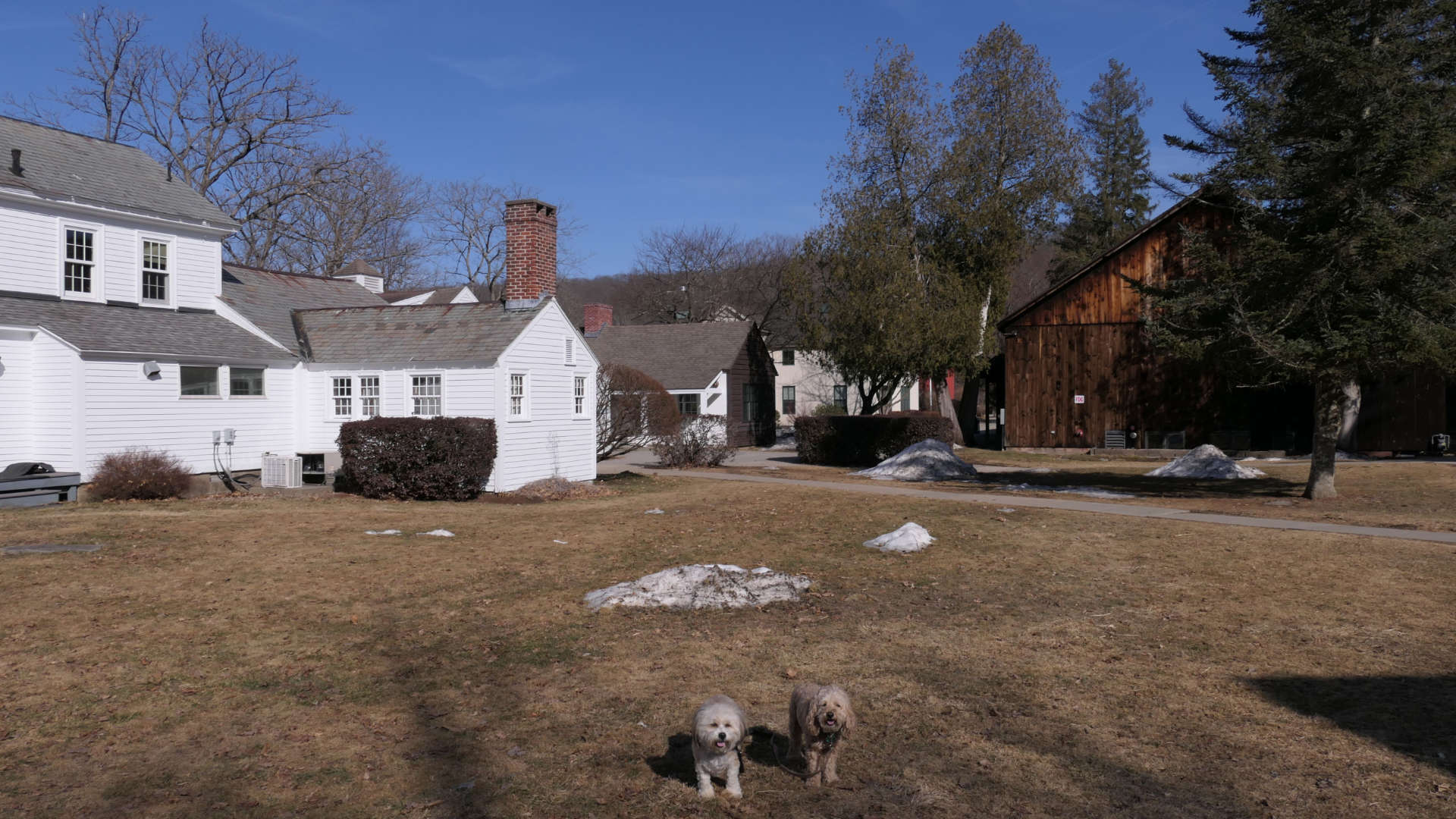 Deerfield22