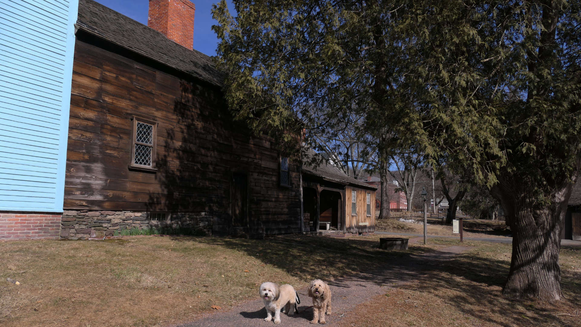 Deerfield5