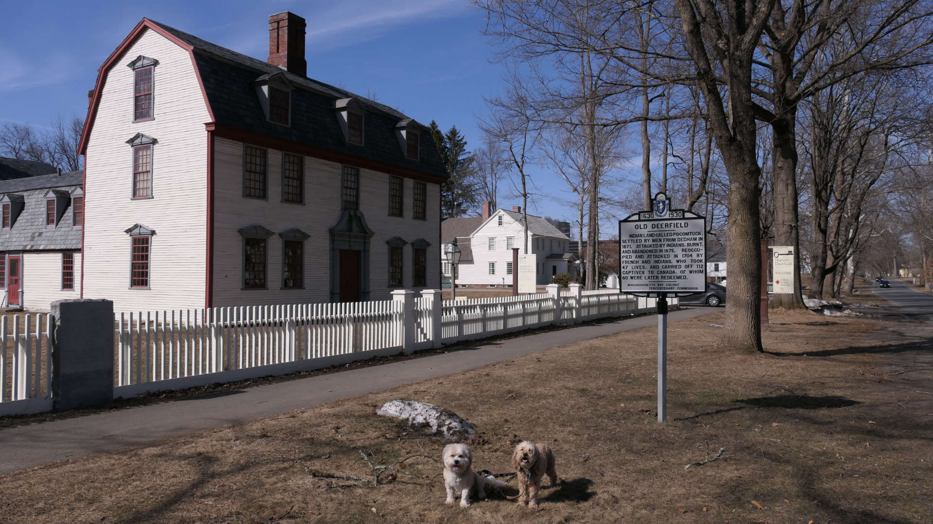Deerfield8