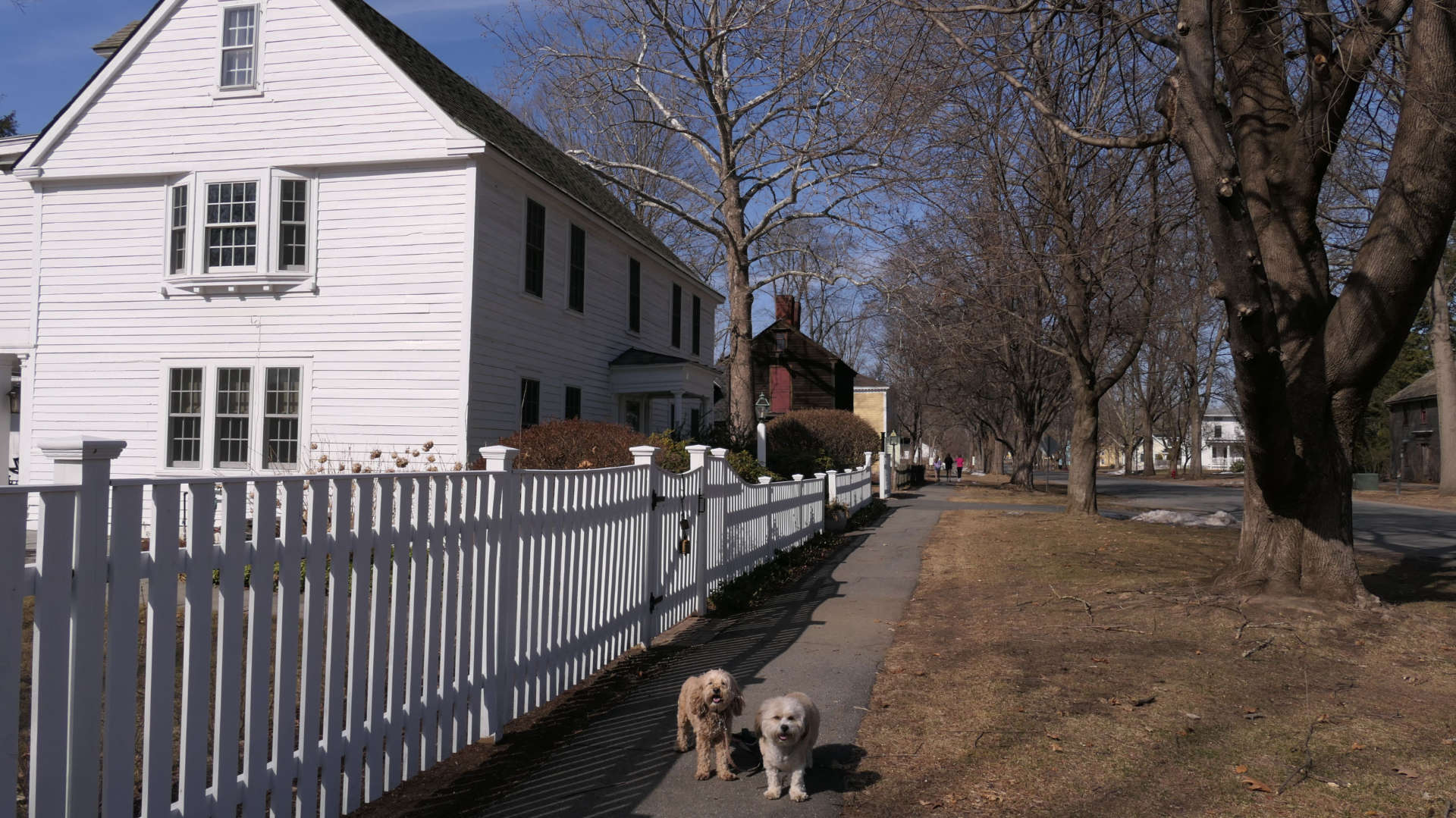 Deerfield9