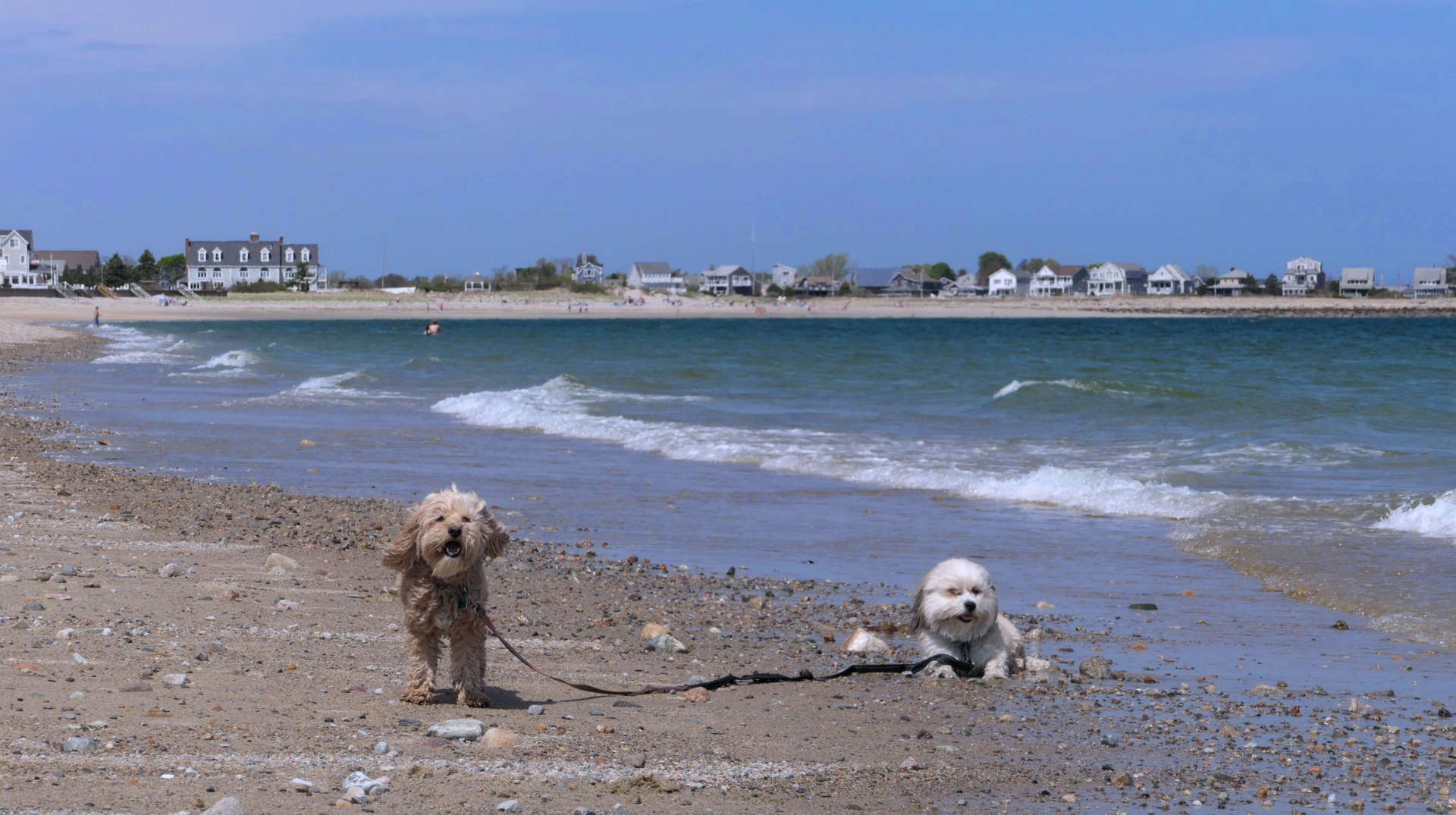Duxbury29