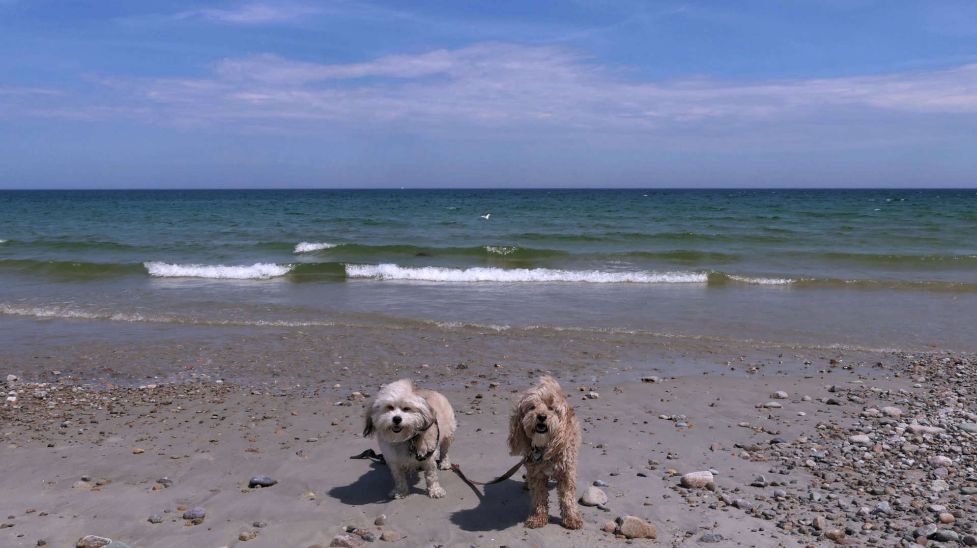Duxbury30