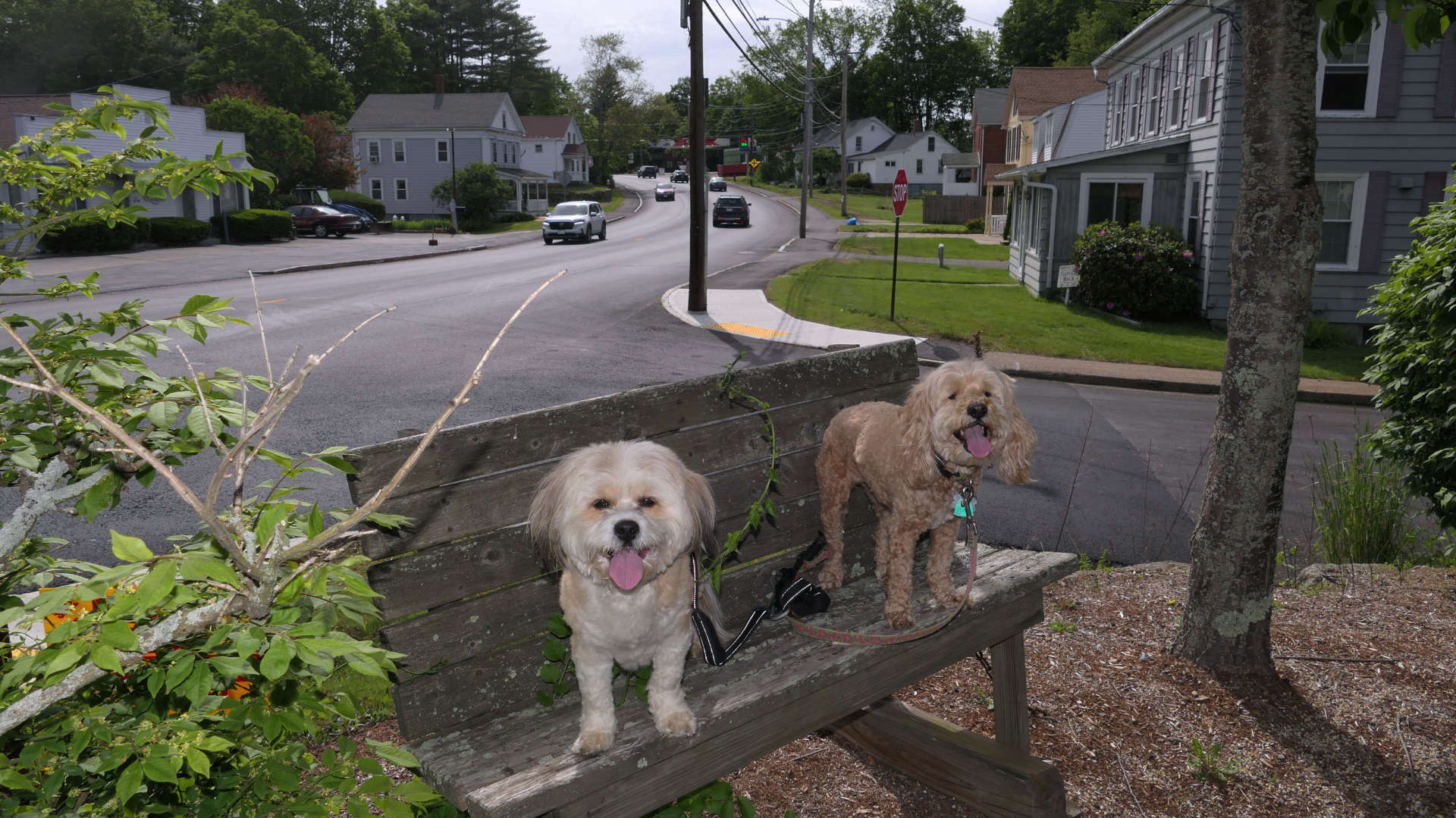 East_Brookfield10