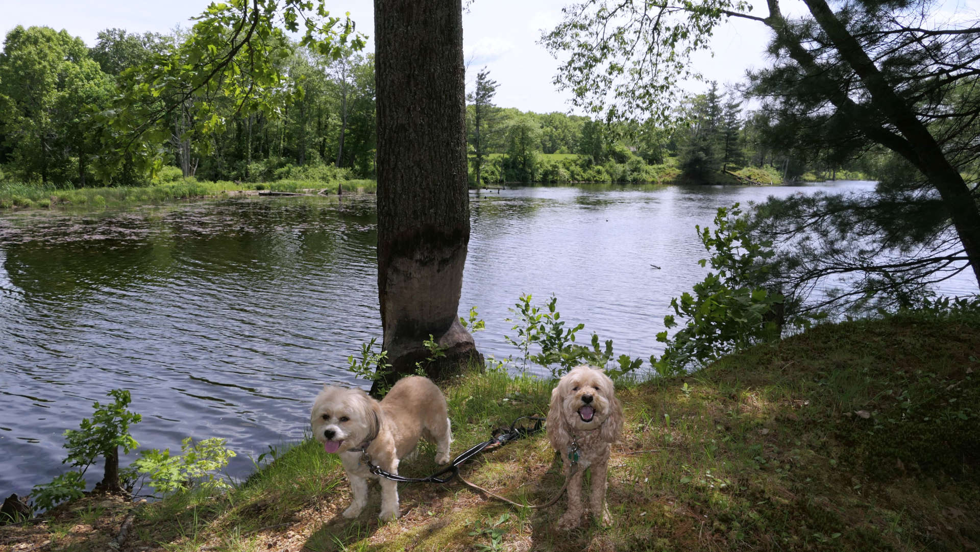 East_Brookfield2