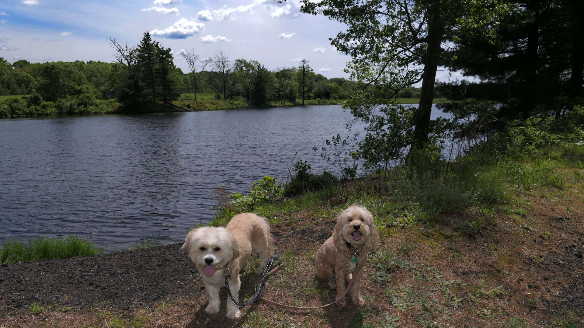 East_Brookfield3
