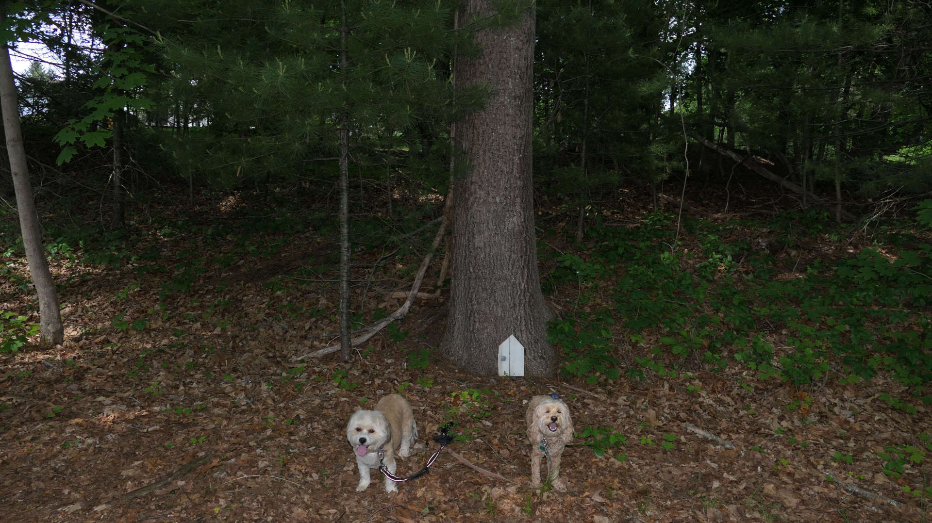 East_Brookfield4