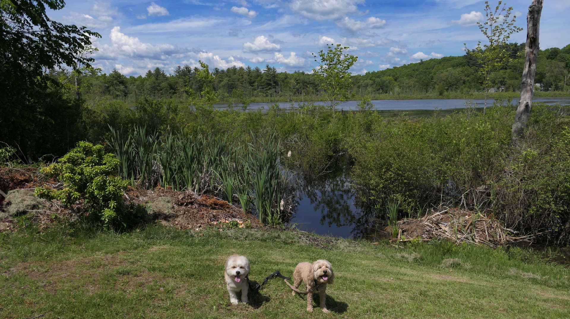 East_Brookfield5