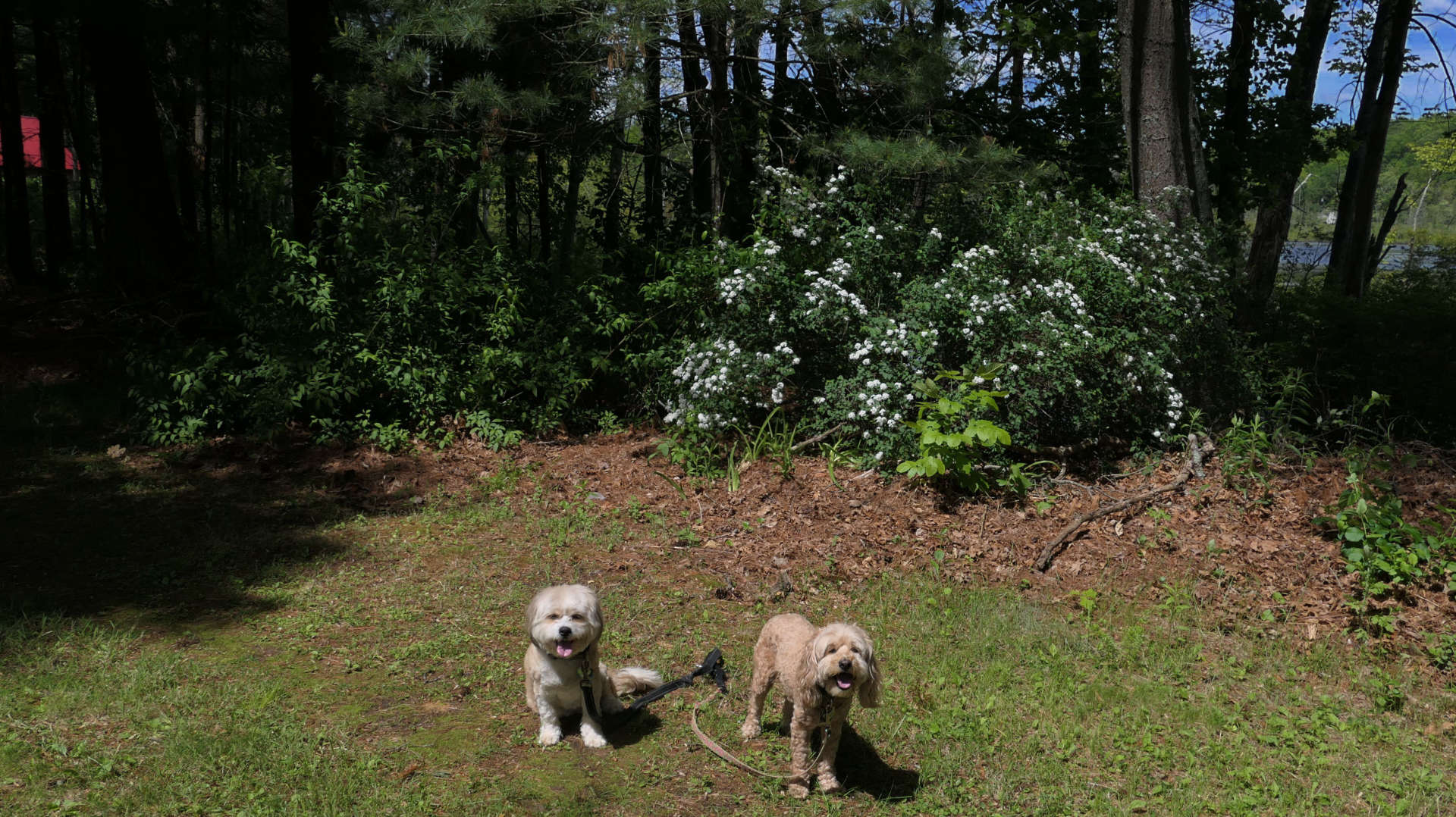 East_Brookfield6