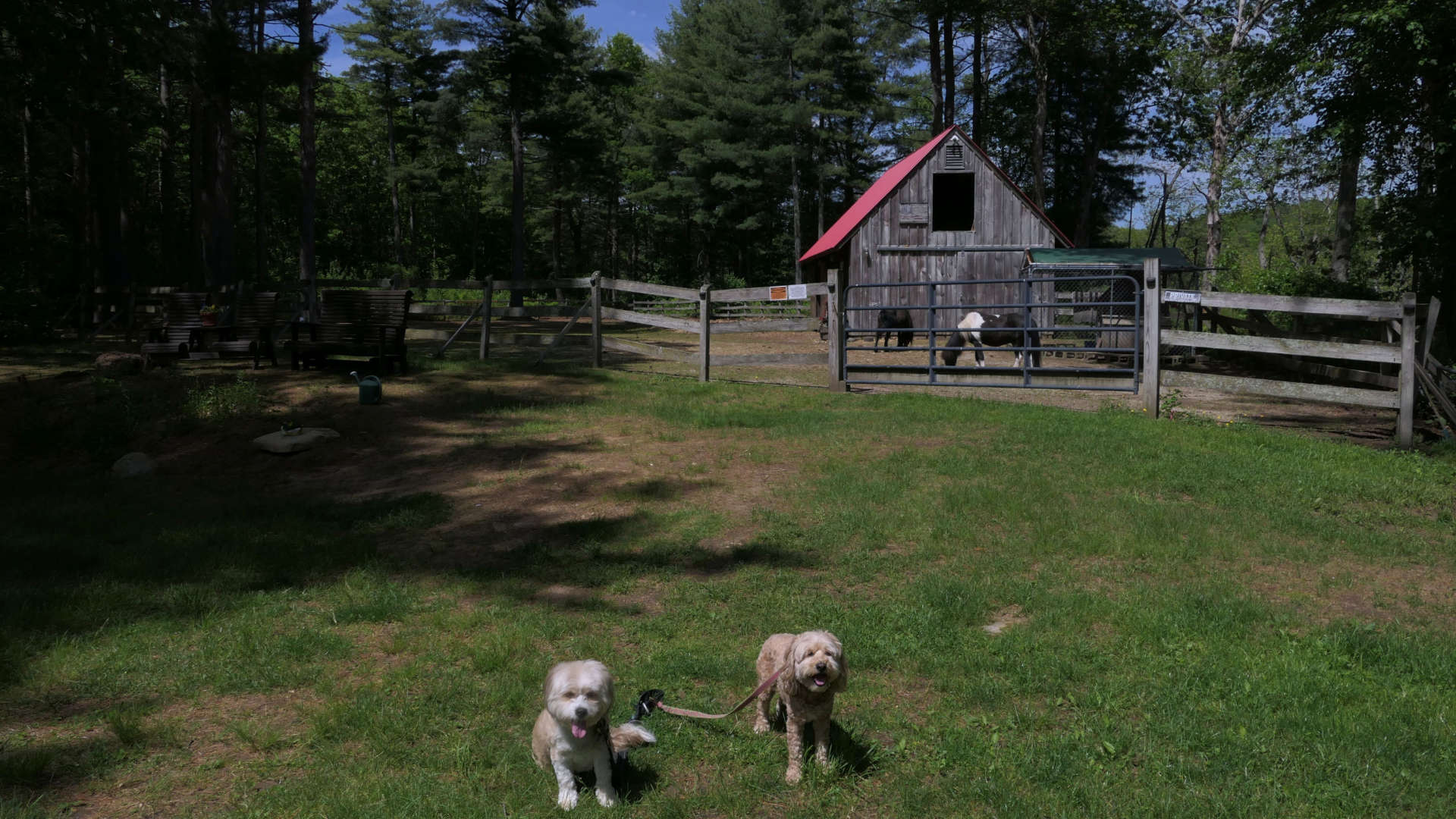 East_Brookfield7