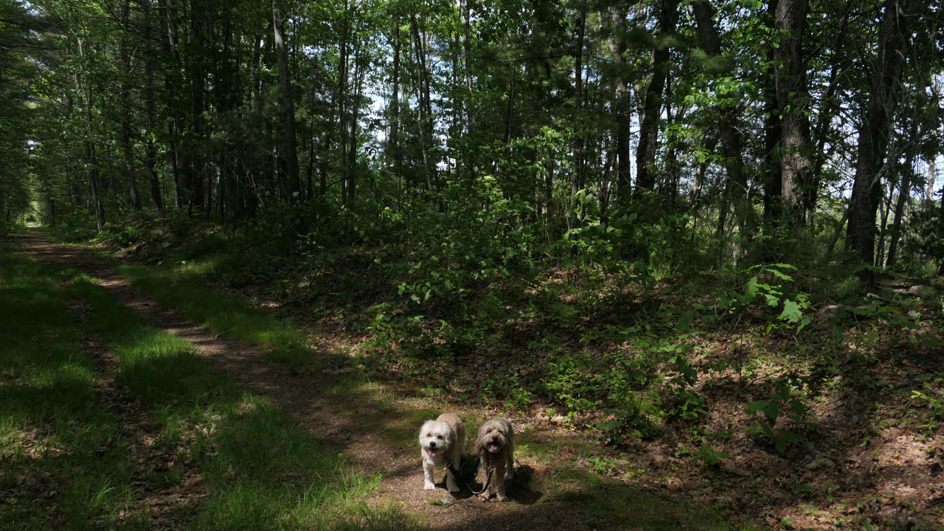 East_Brookfield8