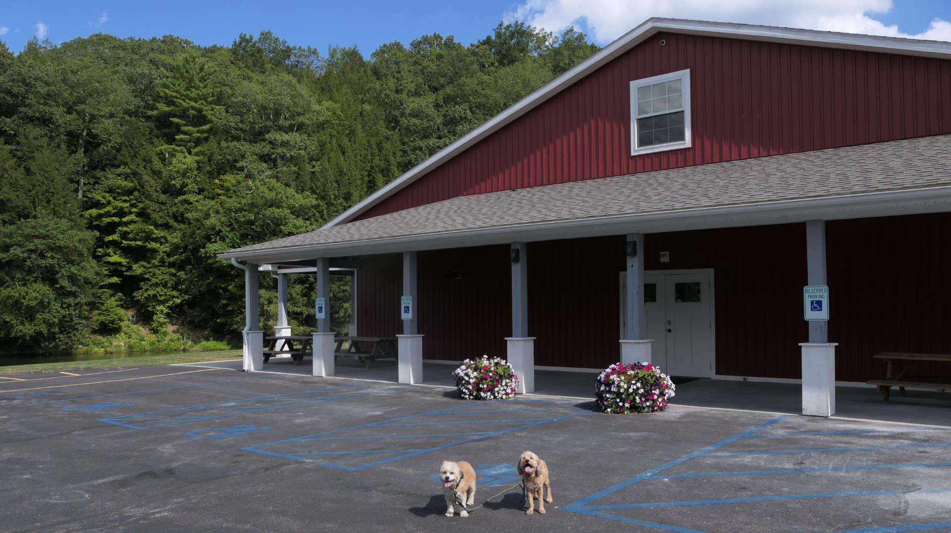East_Greenbush3