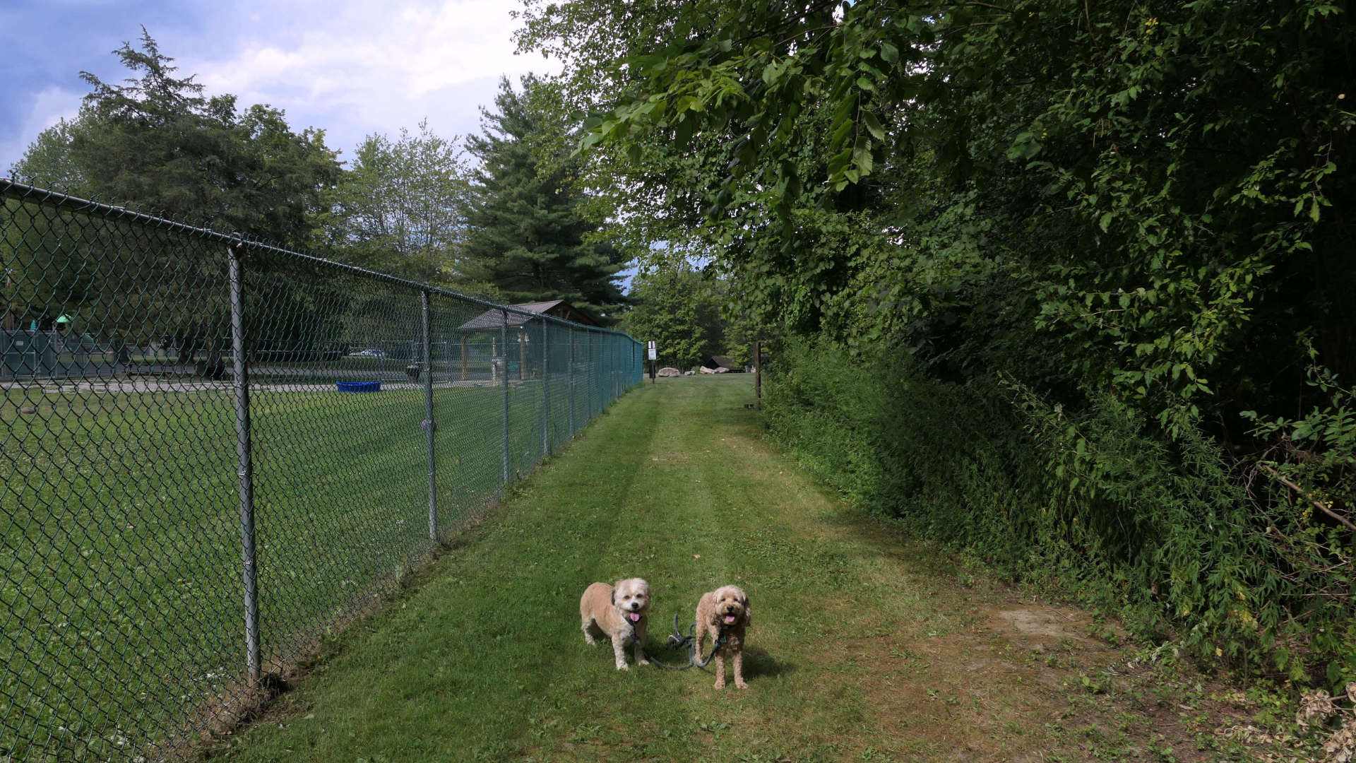 East_Greenbush6