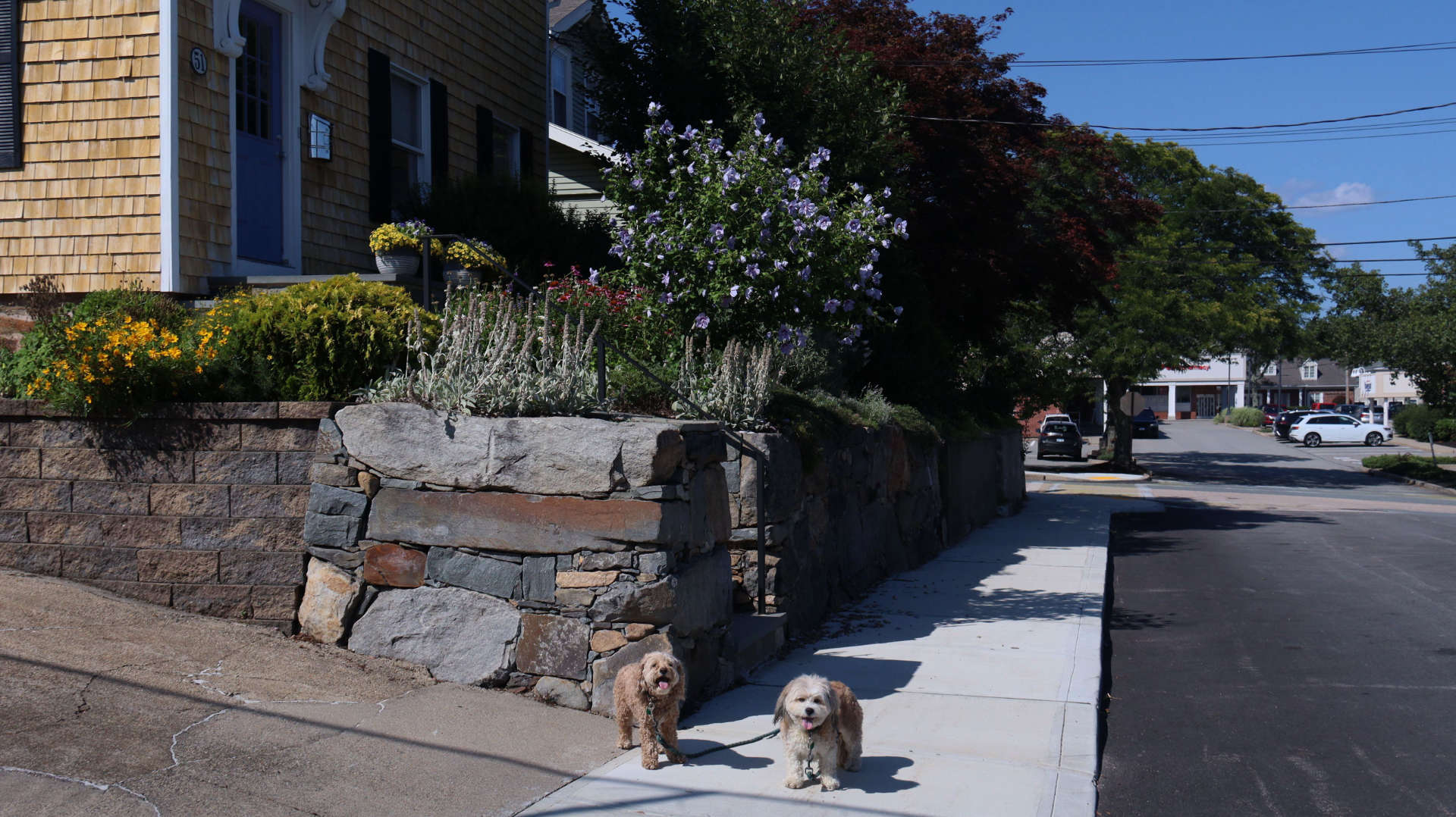 East_Greenwich65