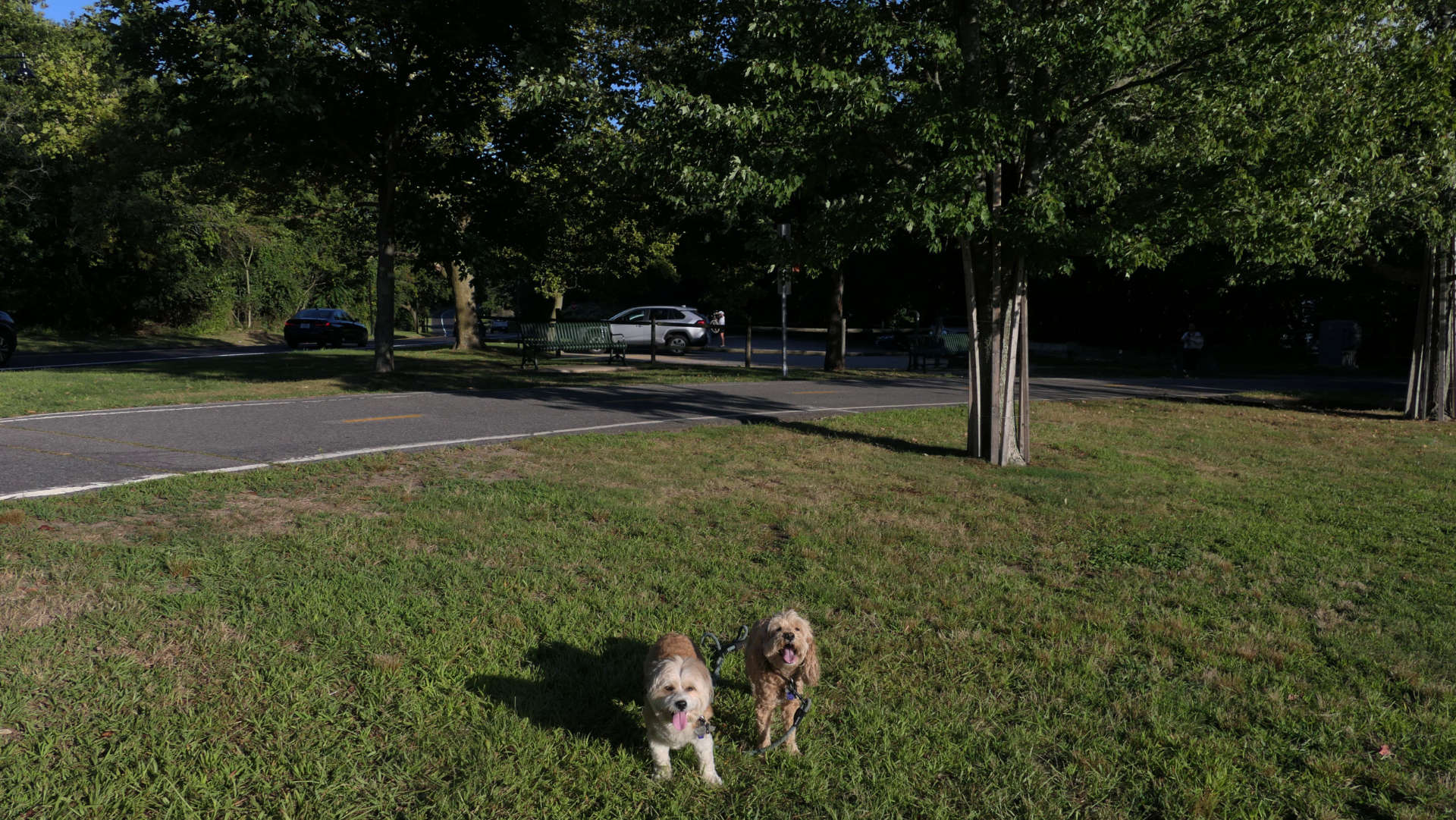 East_Providence105