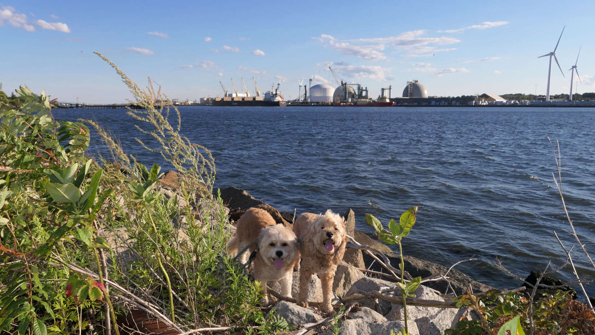 East_Providence109