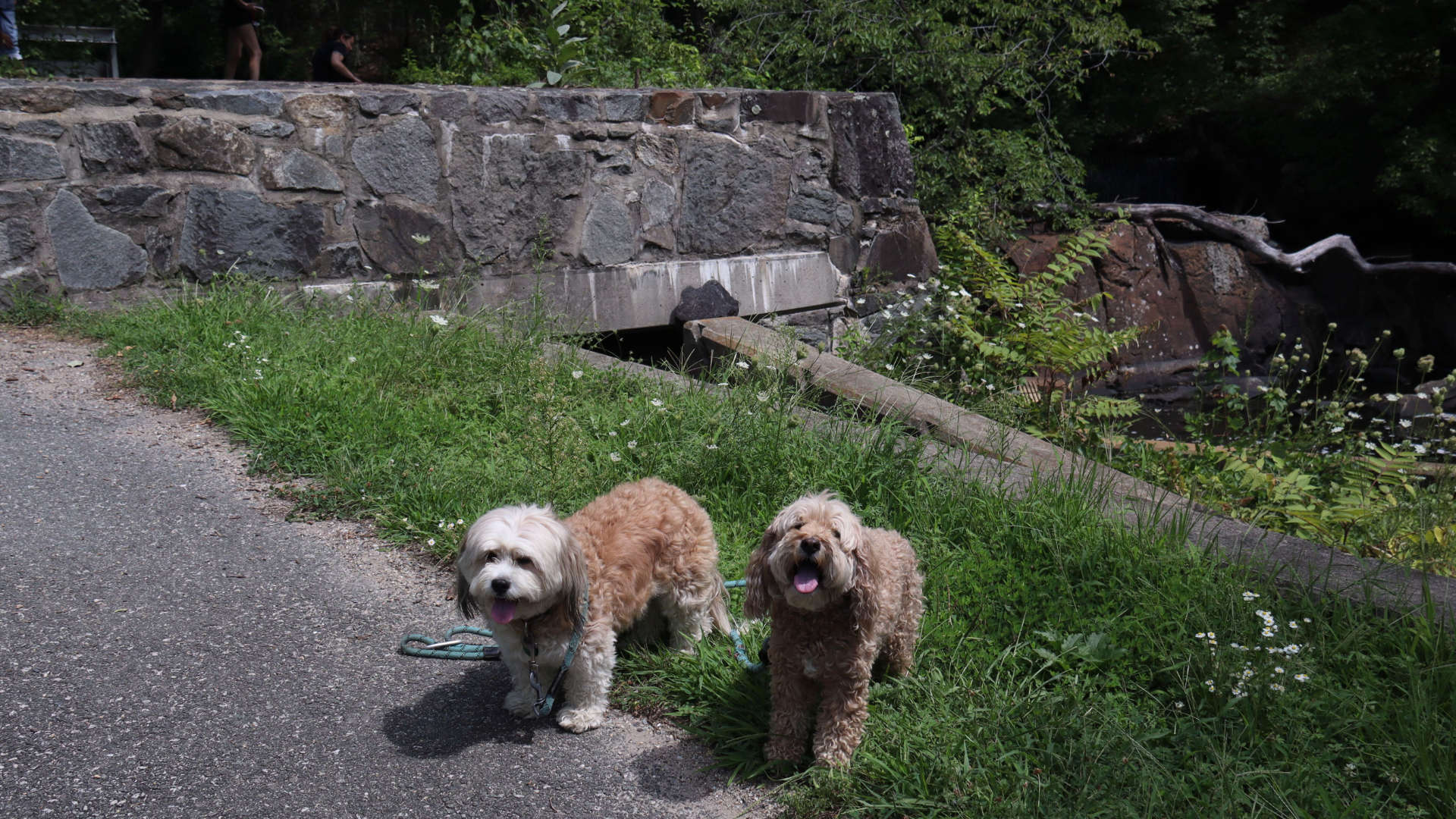 East_Providence128