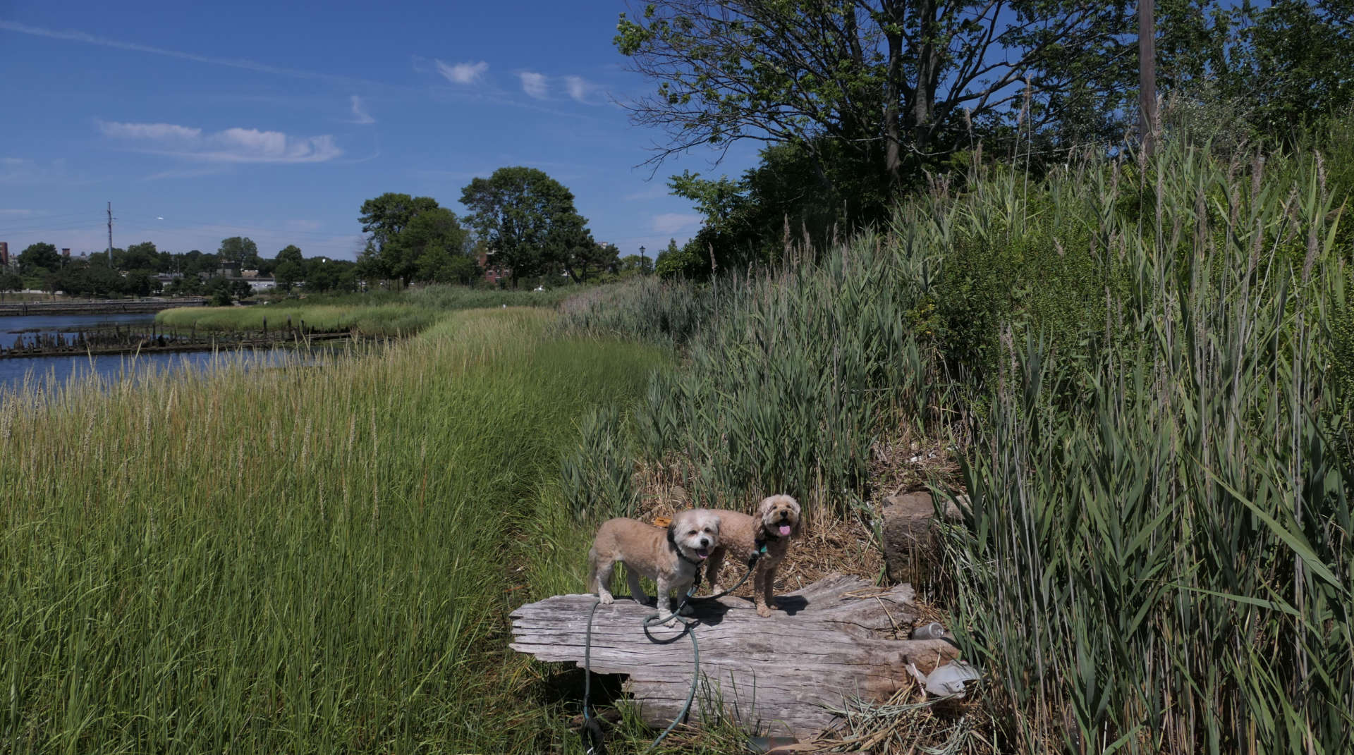East_Providence87