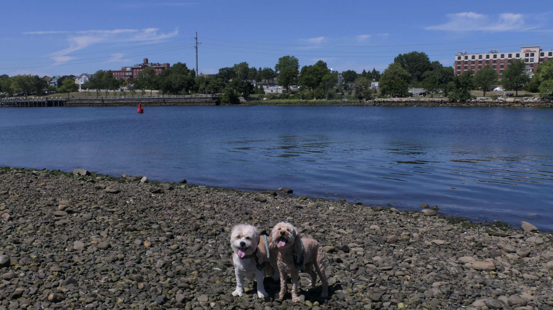 East_Providence89