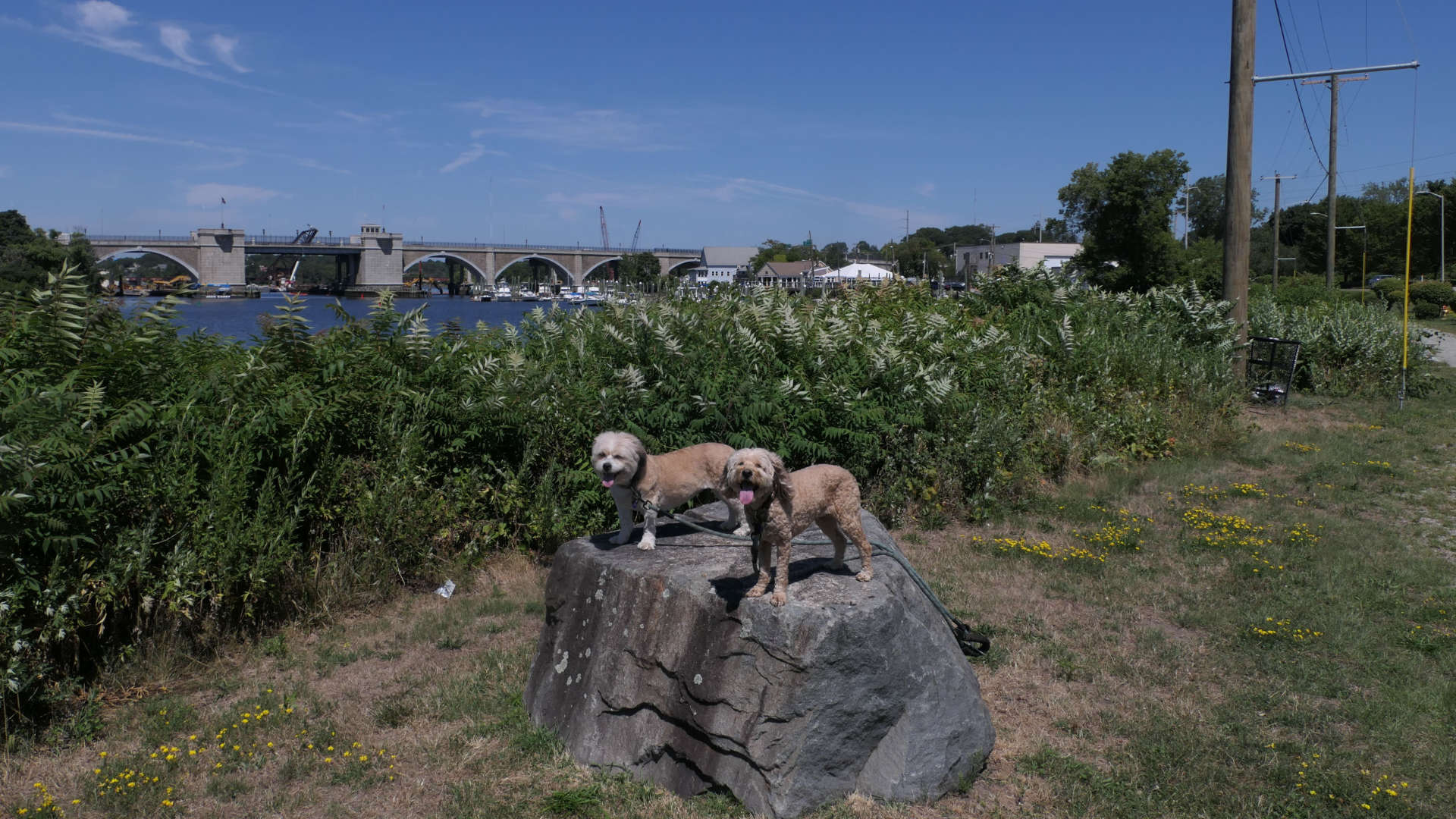 East_Providence93