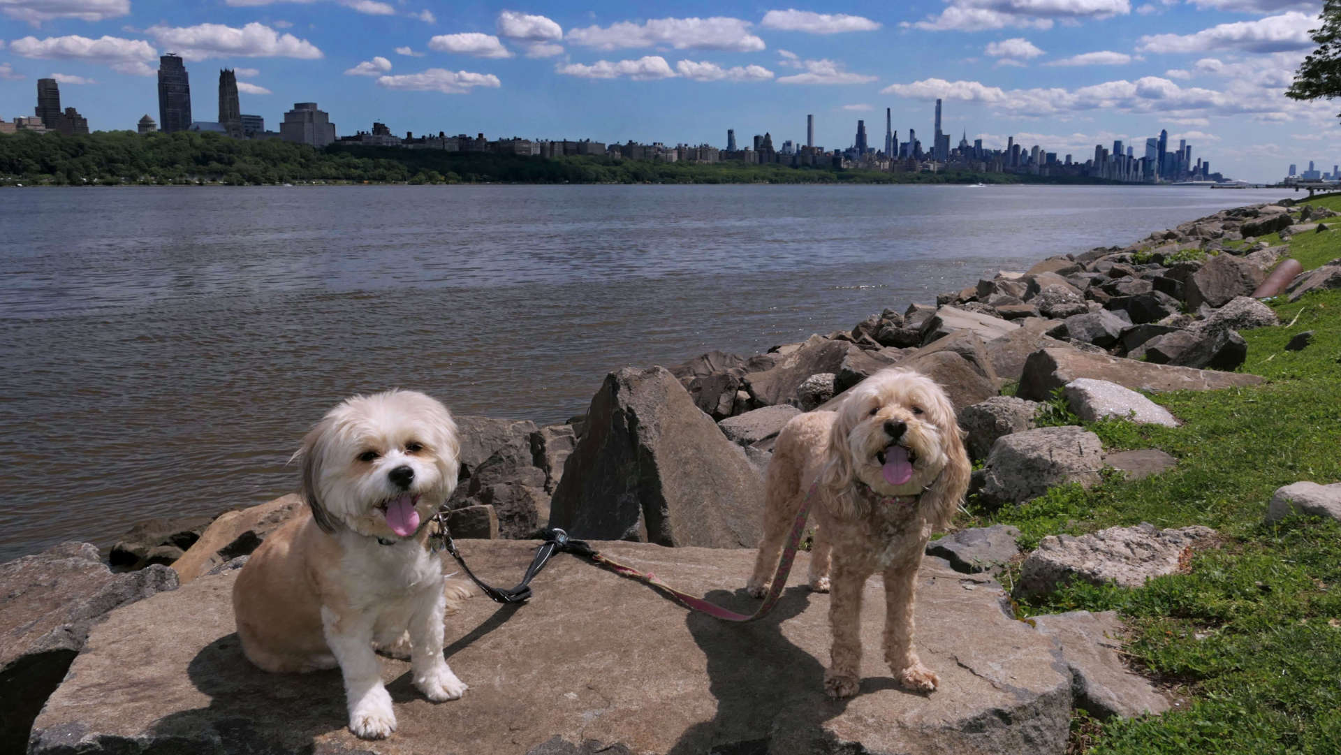 Edgewater11