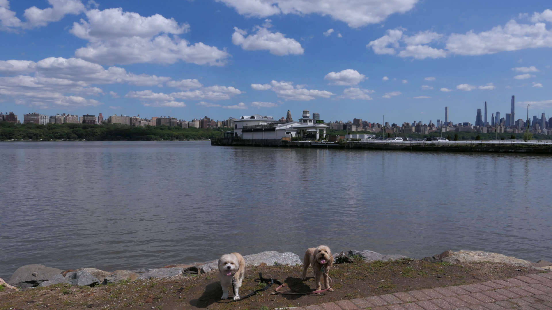 Edgewater15