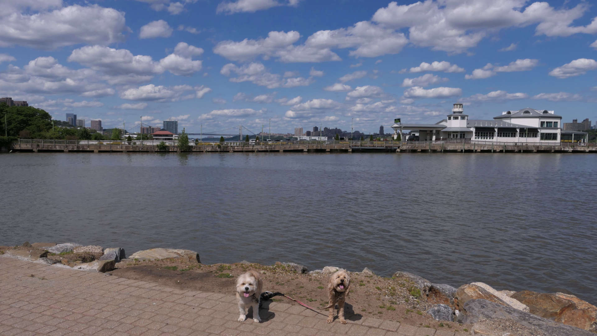 Edgewater17