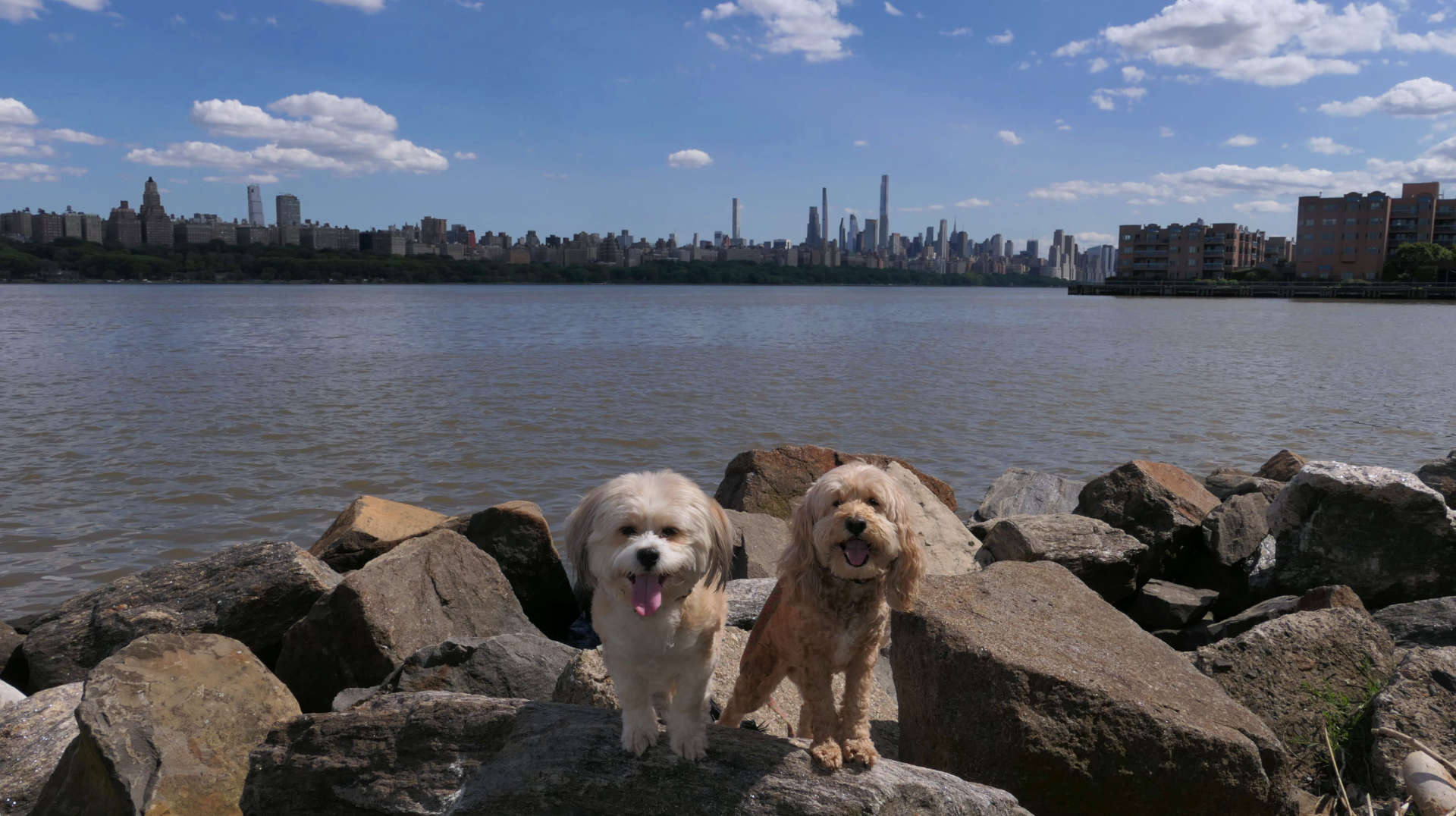 Edgewater18
