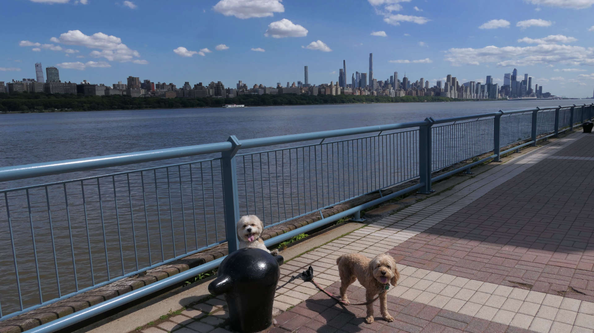 Edgewater19