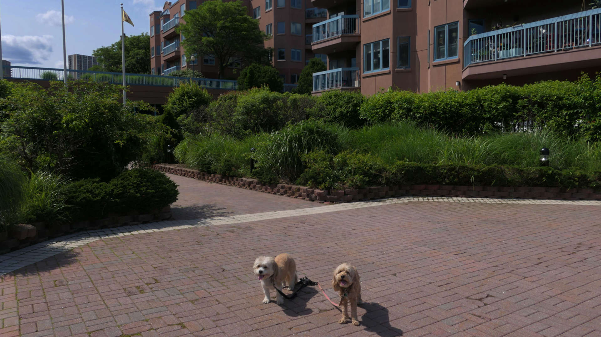 Edgewater20
