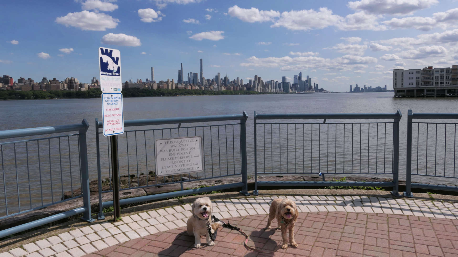 Edgewater21