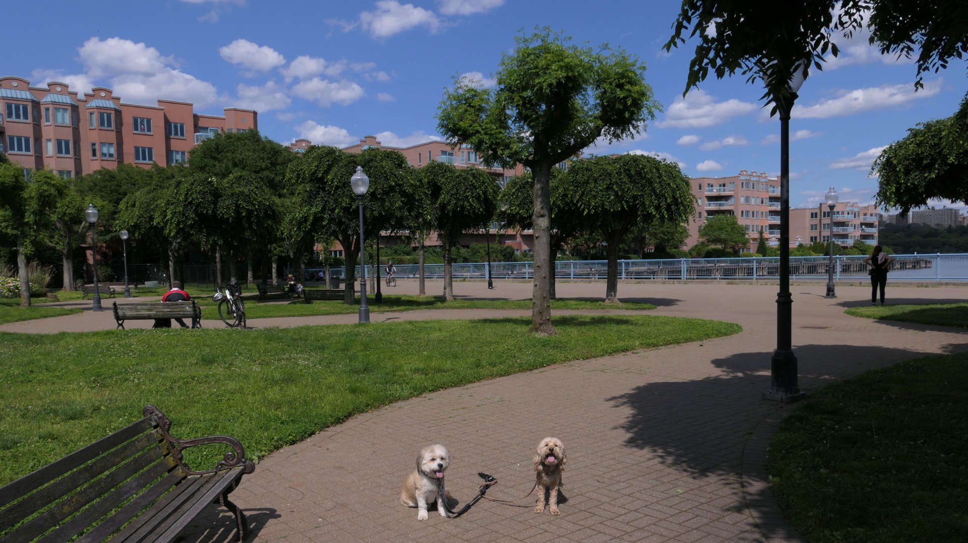 Edgewater22