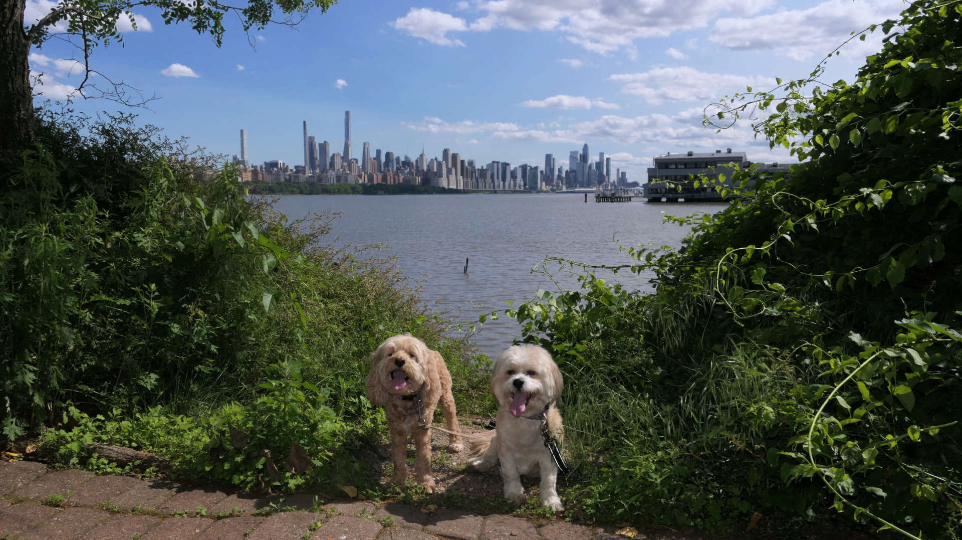 Edgewater24