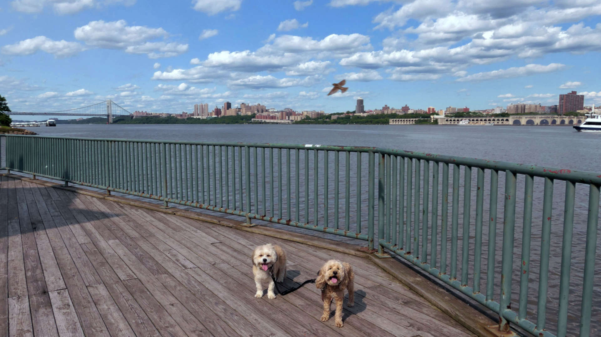 Edgewater26
