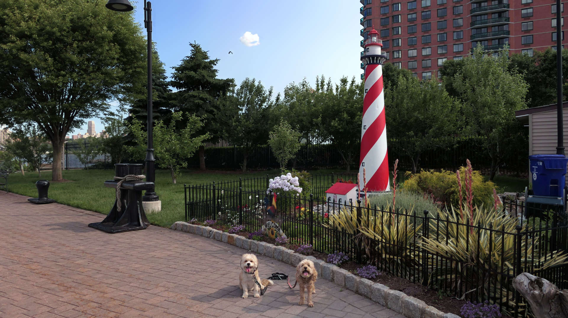 Edgewater27