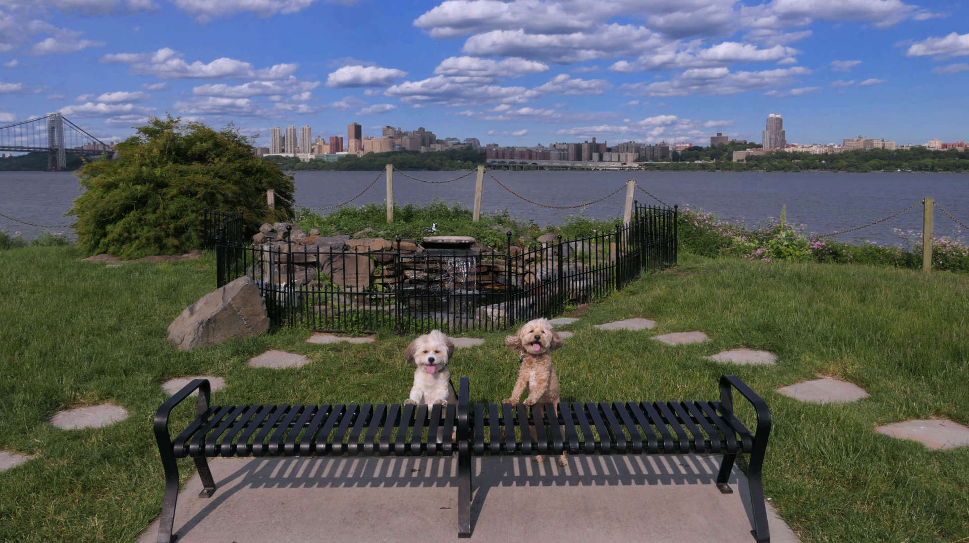 Edgewater29