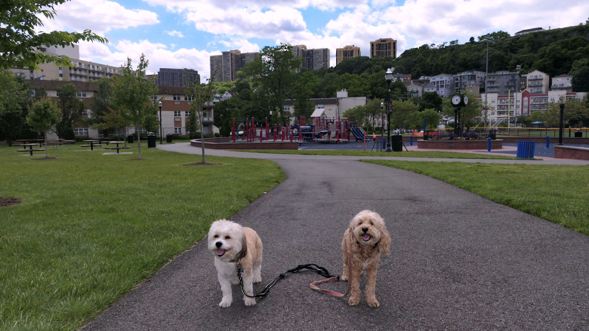Edgewater3
