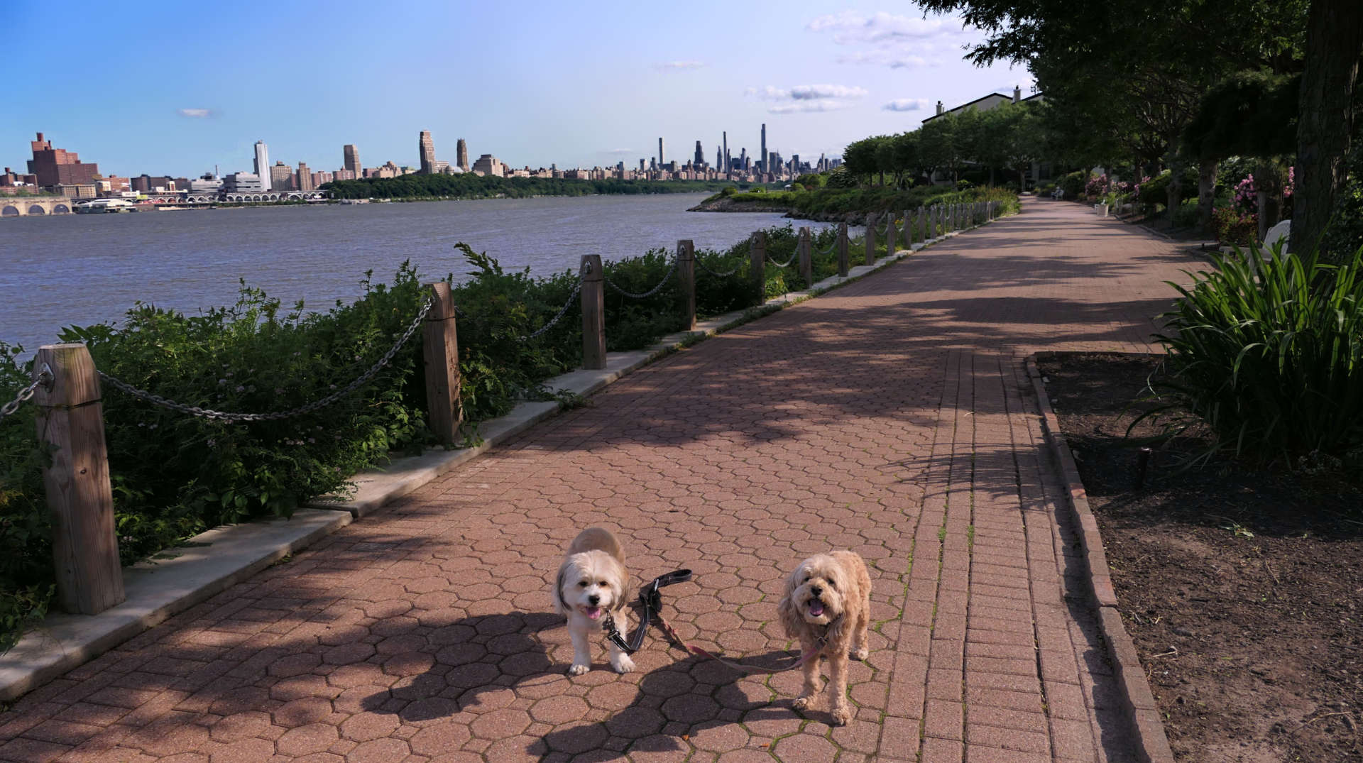 Edgewater32