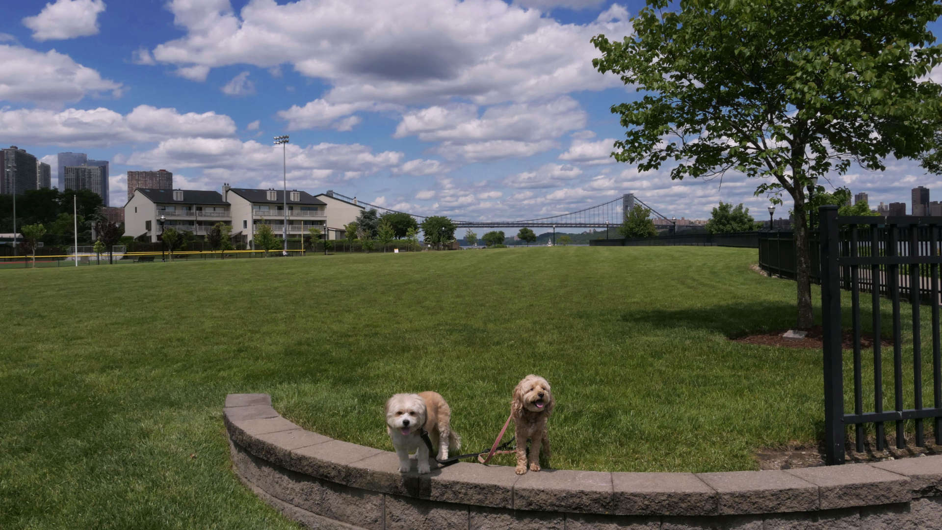 Edgewater4