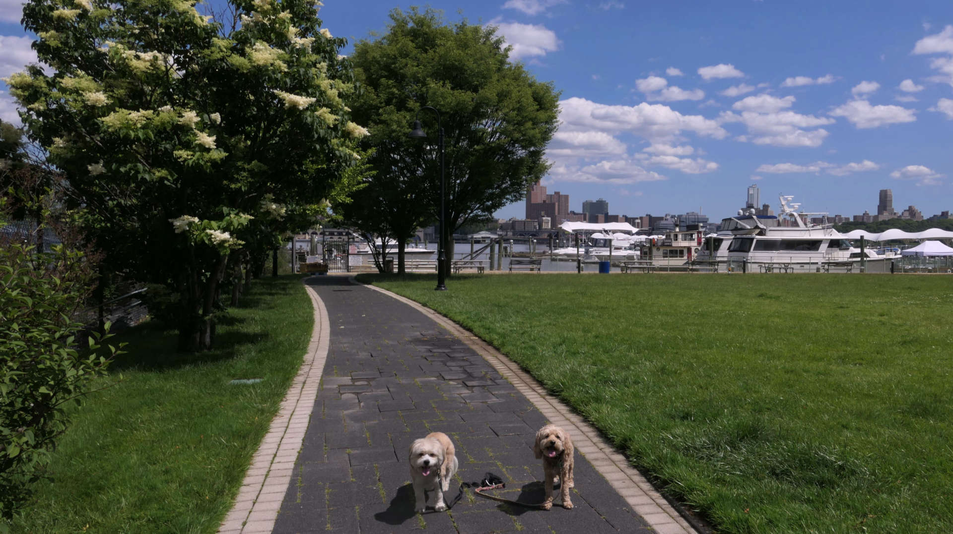 Edgewater6