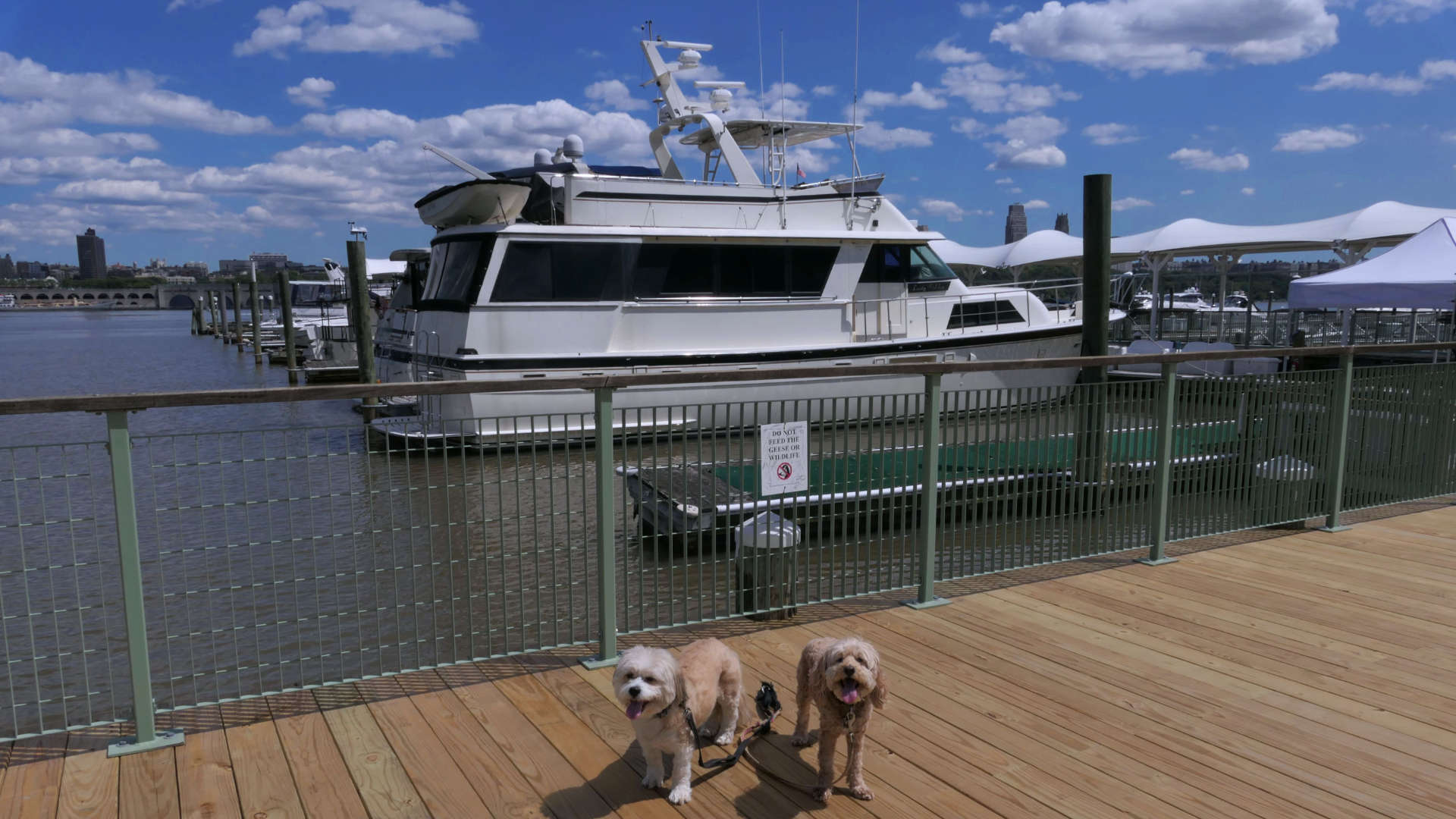 Edgewater7