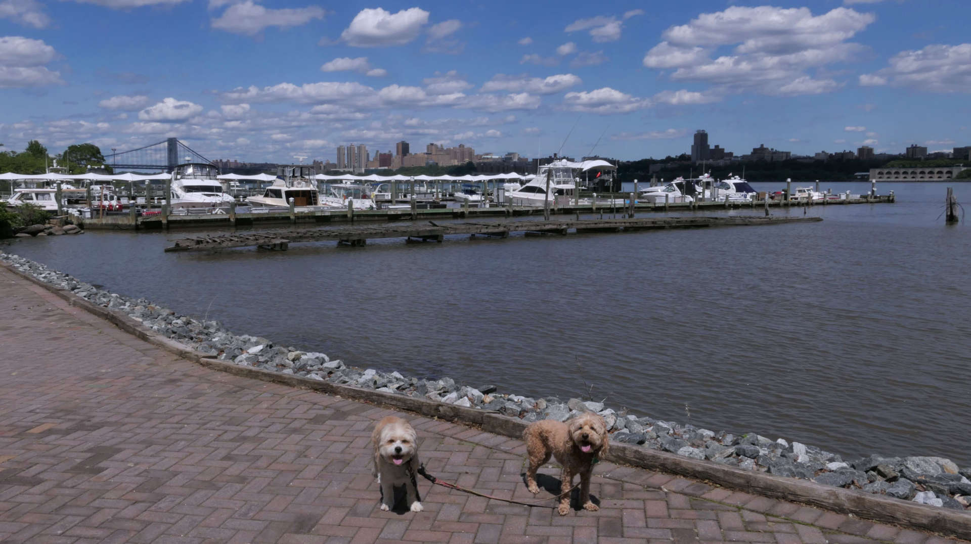 Edgewater8