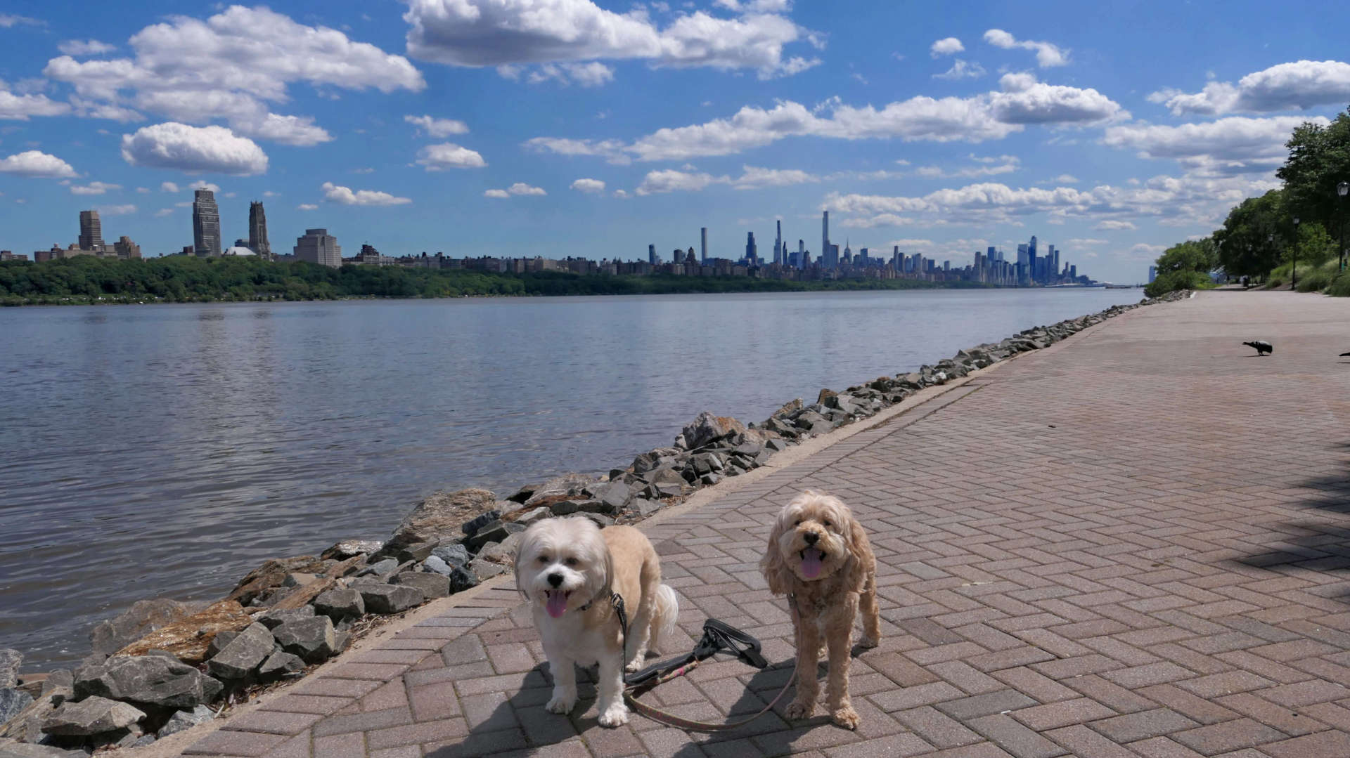 Edgewater9