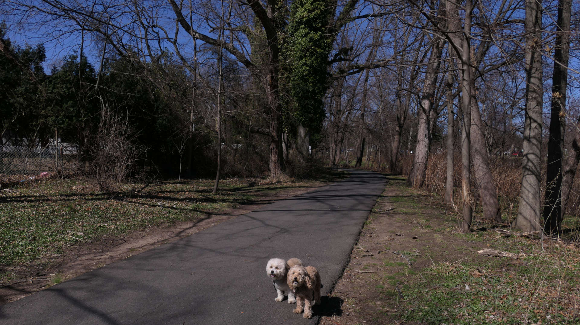 Fair_Lawn