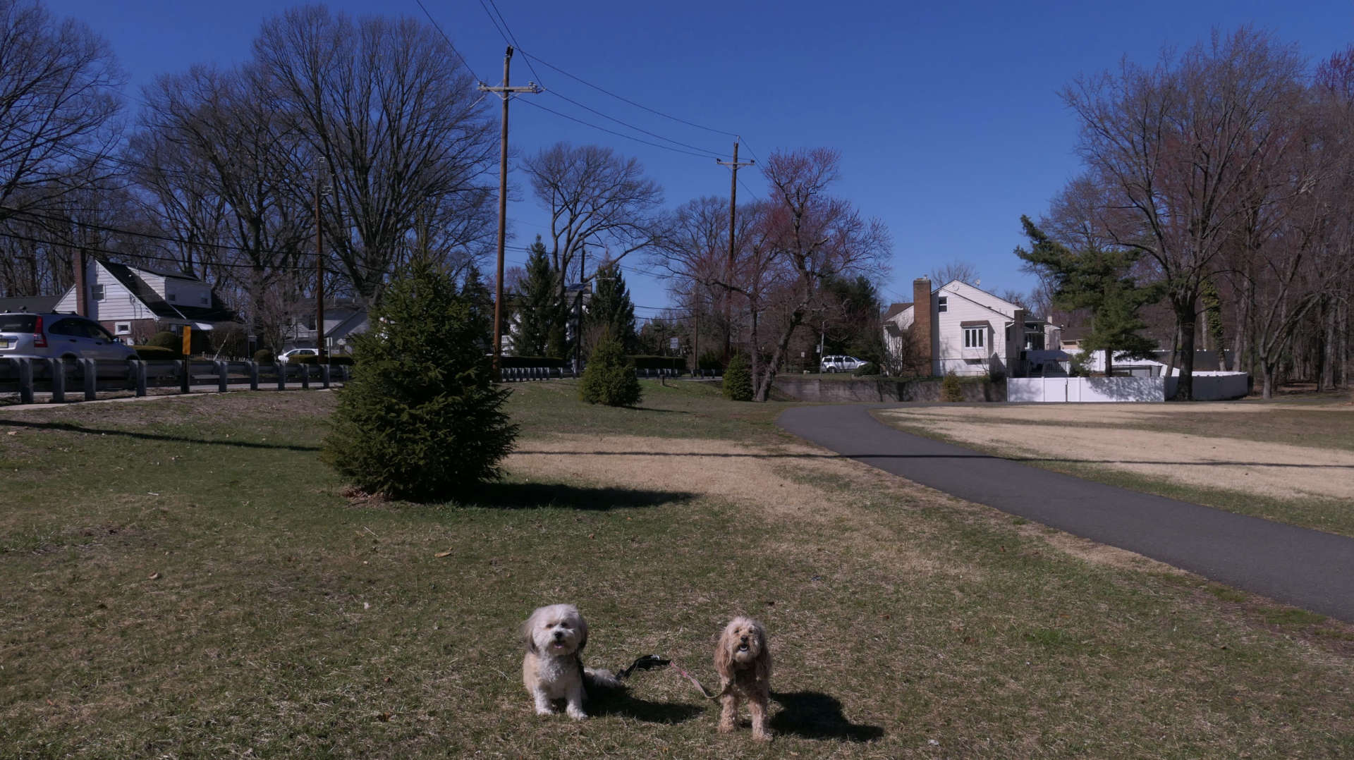Fair_Lawn3