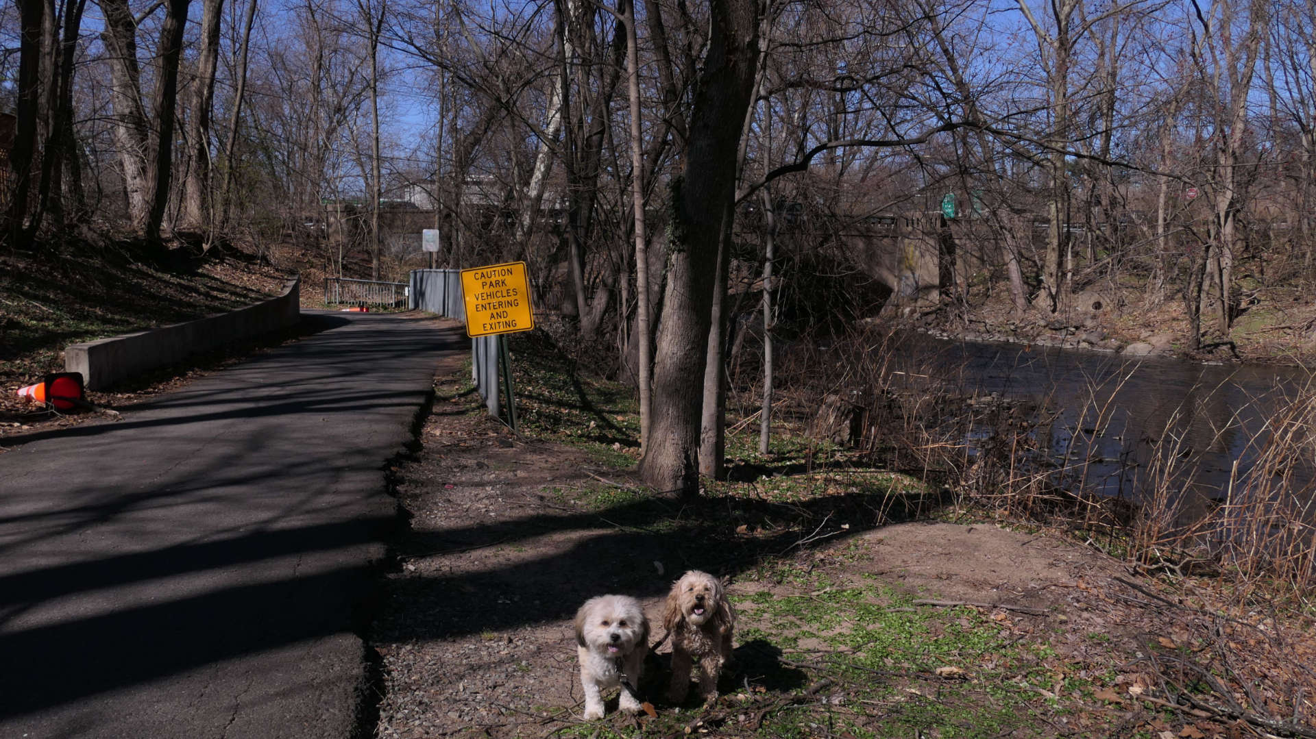 Fair_Lawn4
