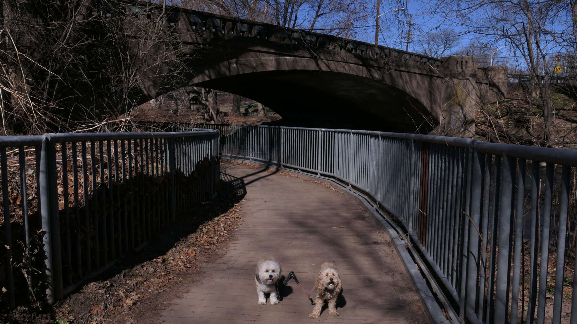 Fair_Lawn5
