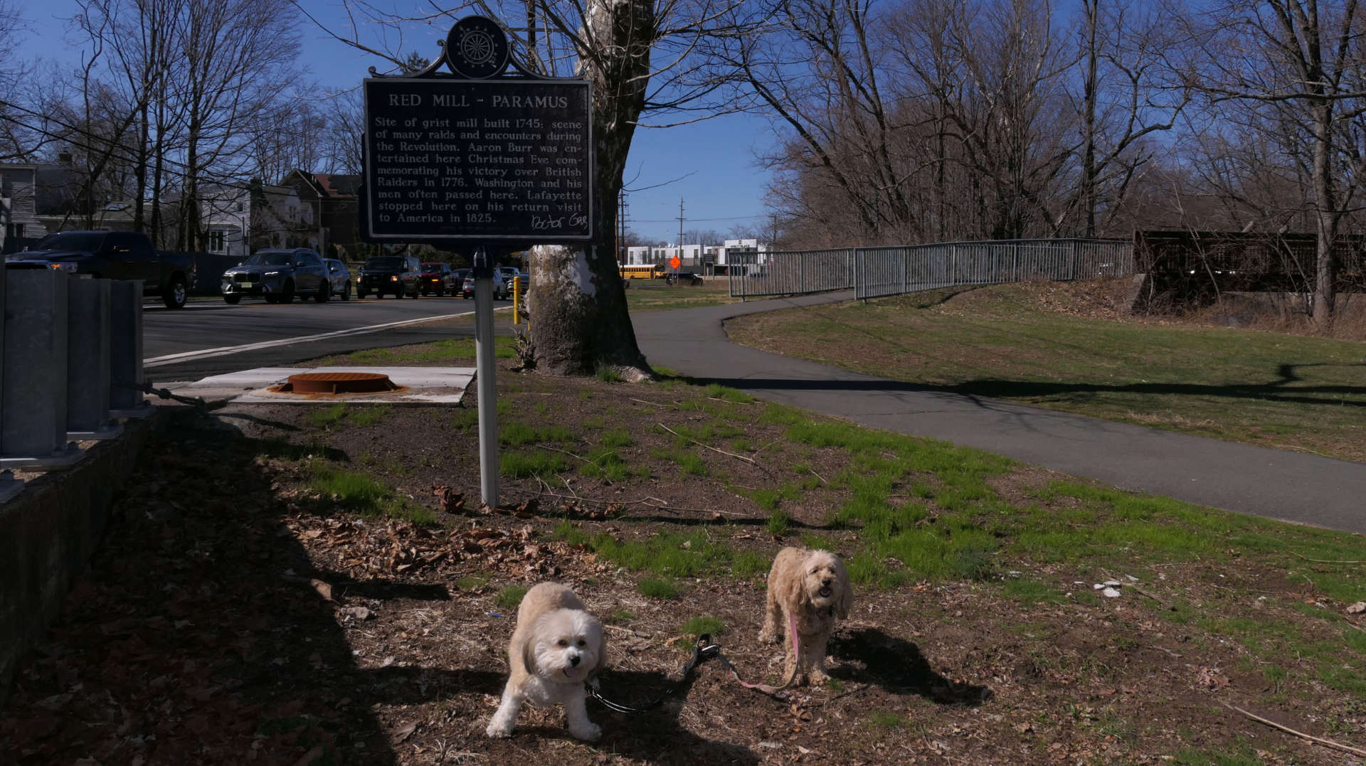 Fair_Lawn6