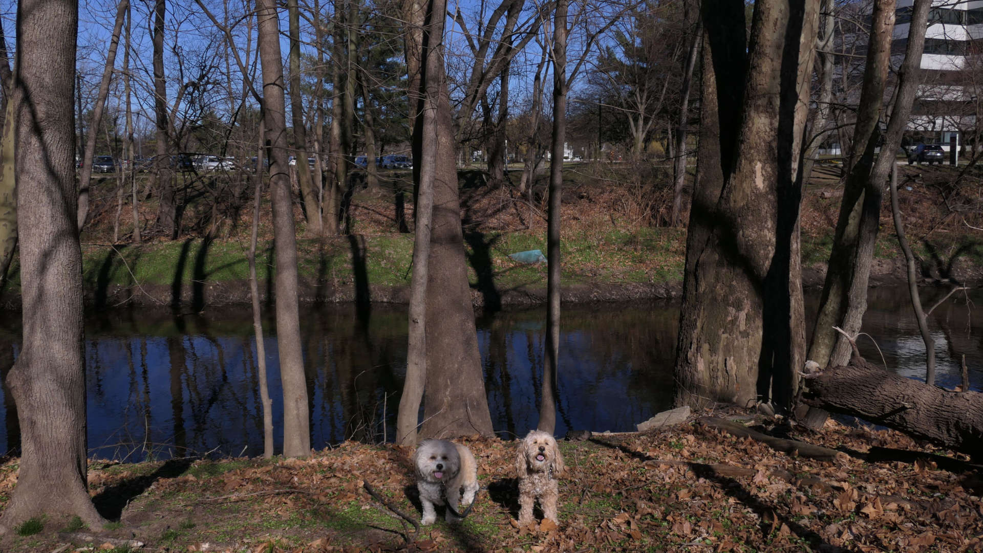 Fair_Lawn7